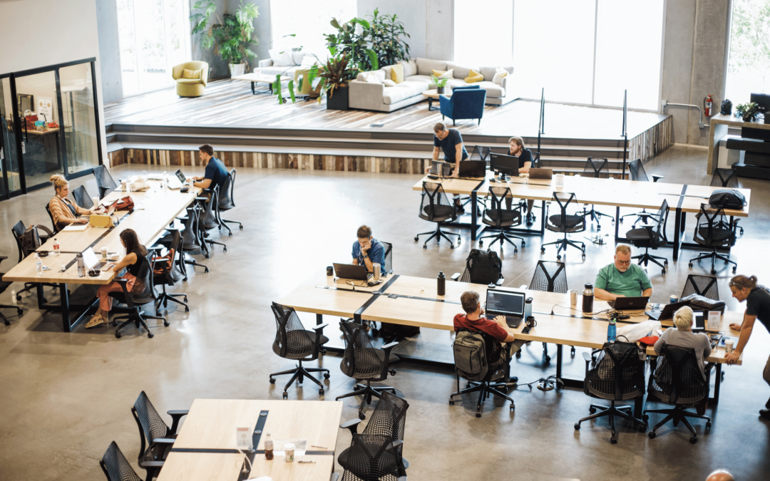 Coworking Space vs. Business Incubator